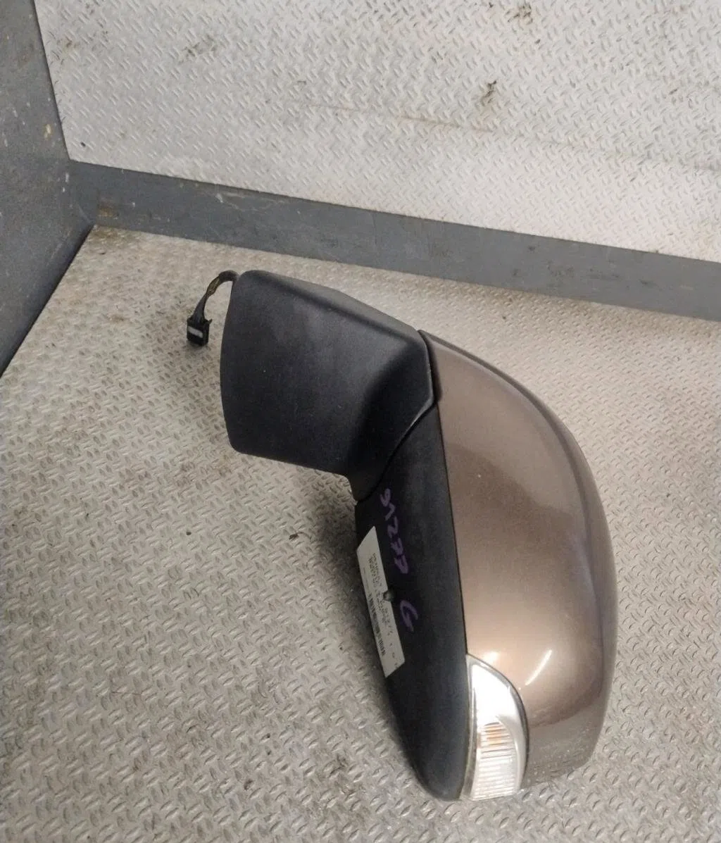 Retroviseur exterieur gauche RENAULT SCENIC 3  SCENIC 3 PHASE 1 occasion