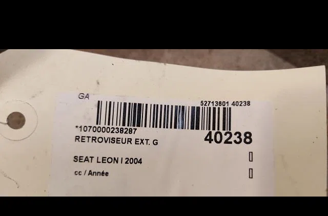 Retroviseur exterieur gauche SEAT LEON I 2004 occasion