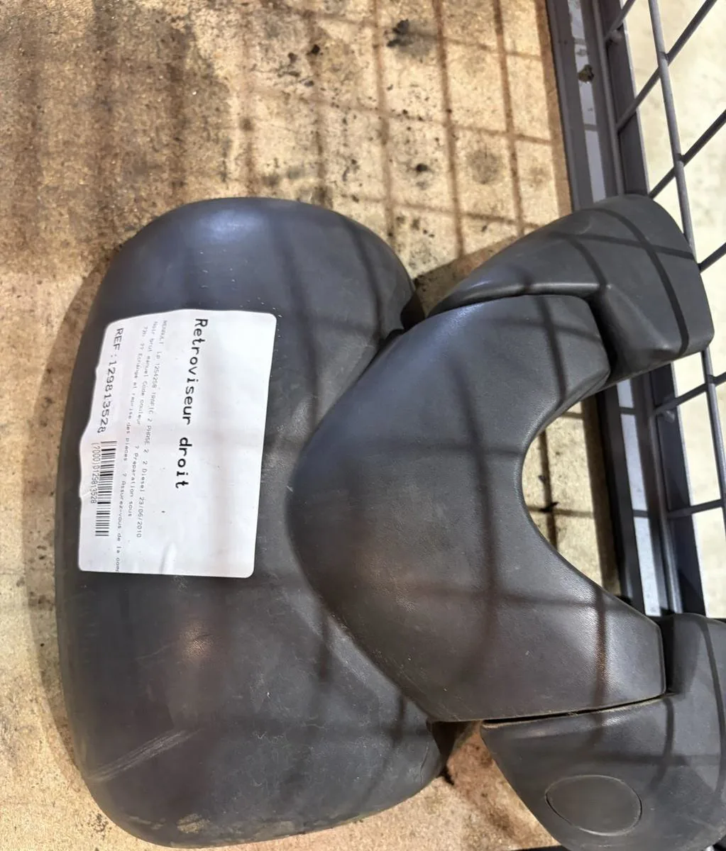 Retroviseur exterieur manuel droit RENAULT TRAFIC 2 PHASE 2 occasion