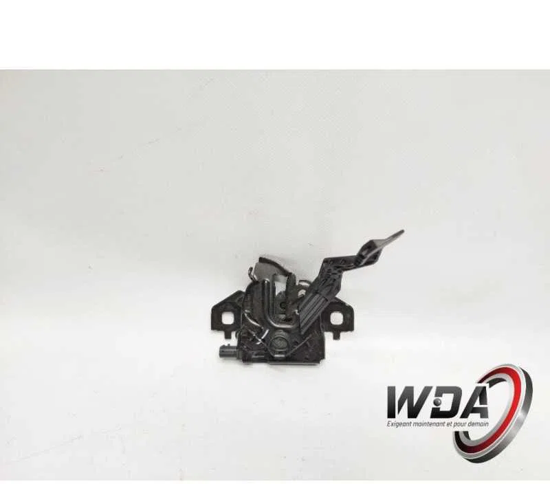 SERRURE CAPOT DACIA SANDERO 3 656016370R