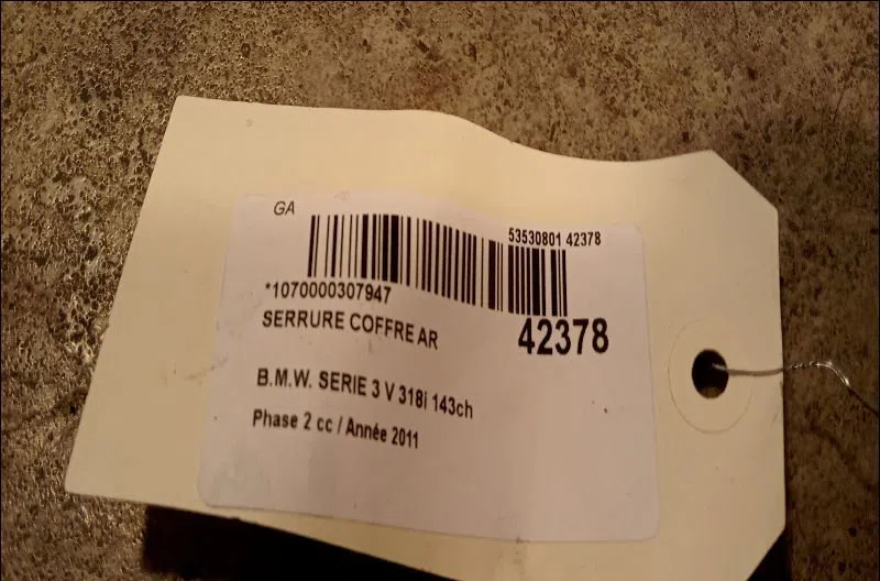 Serrure coffre arrière Bmw 3 (E90) 318 d (2007-2011) occasion