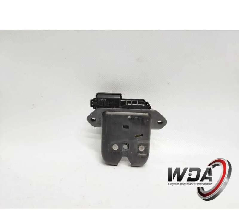 SERRURE HAYON DACIA SANDERO 3 905030754R
