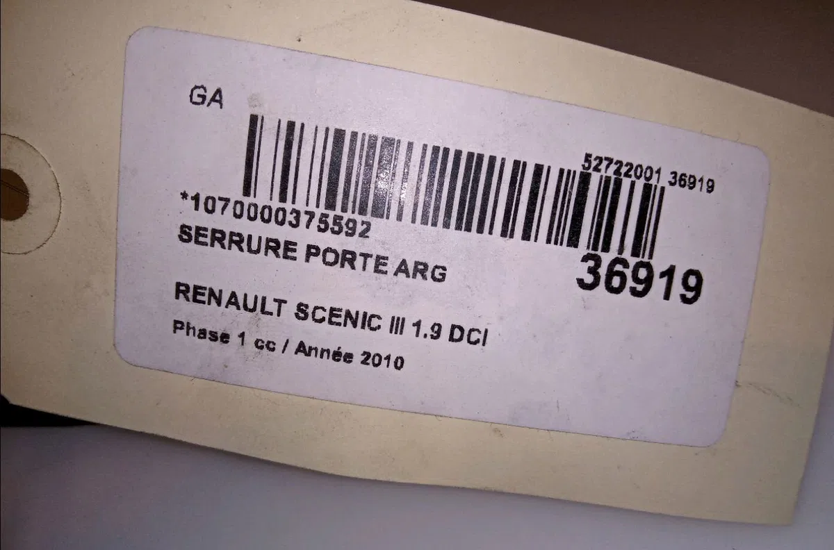 Serrure porte arg Renault GRAND SCÉNIC III (JZ0-1_) 1.9 dci (2009) occasion