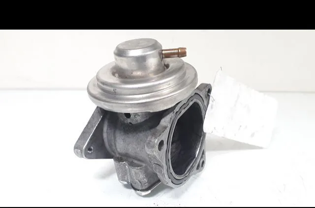 Vanne egr Seat IBIZA III (6L1) 1.9 tdi (2002-2009) occasion
