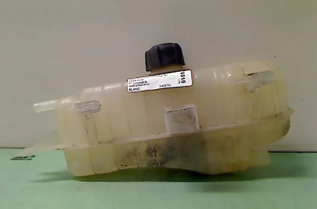 Vase expansion RENAULT CLIO 2009 occasion