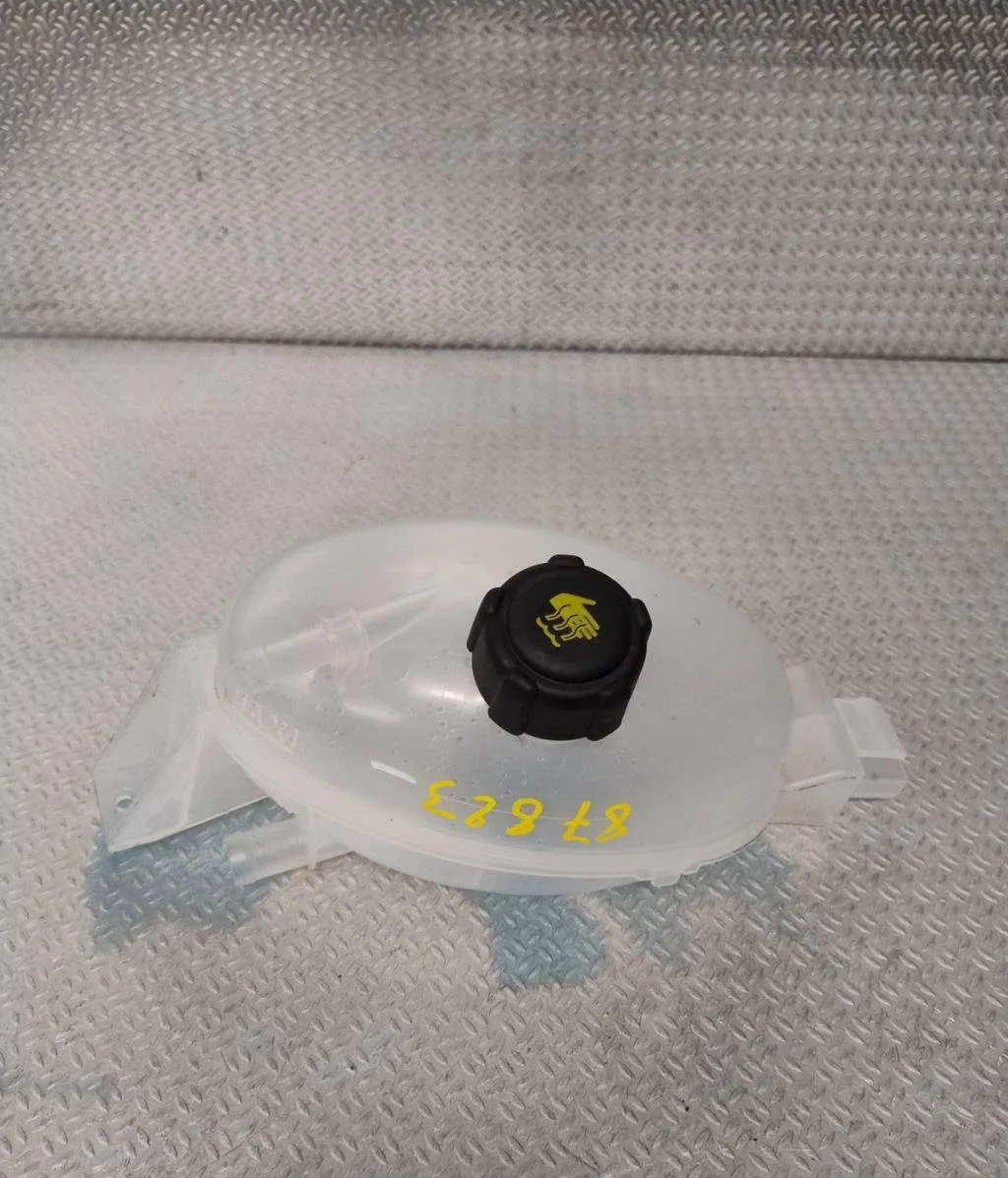 Vase expansion Renault MASTER III Camion plate-forme-Châssis (EV, HV, UV) 2.3 dci 130 rwd (hv01, hv10, hv11, hv12, uv01,