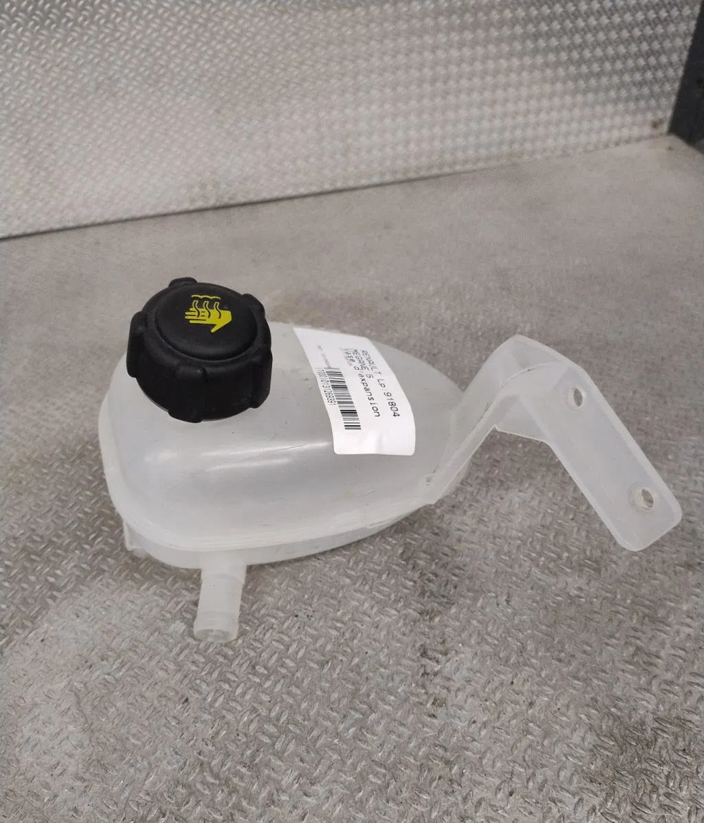 Vase expansion Renault SCENIC E-TECH PHASE I Ev87 (2023) occasion
