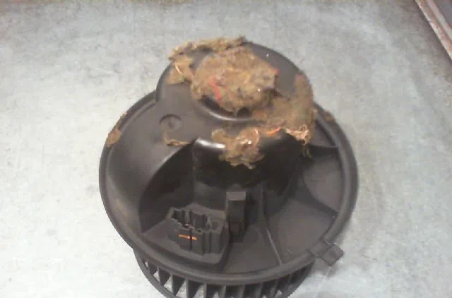 Ventilateur de chauffage FORD GALAXY 1998 occasion