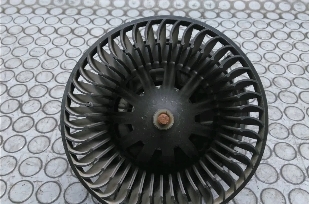 Ventilateur de chauffage Peugeot 206 (2L_, 2M_) 1.4 hdi eco 70 (2009-2013) 5 portes occasion