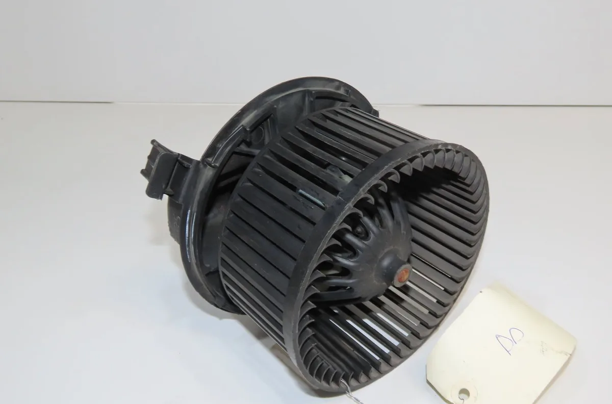Ventilateur de chauffage Renault CLIO III (BR0-1, CR0-1) 1.6 16v (br05, br0b, br0y, br15, br1j, br1m, br1y, cr0b,... (20