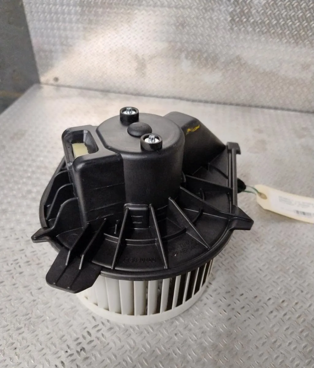 Ventilateur de chauffage Renault KANGOO Express (FW0-1_) 1.5 dci 75 (fw07, fw10, fw04) (2010) 4 portes occasion