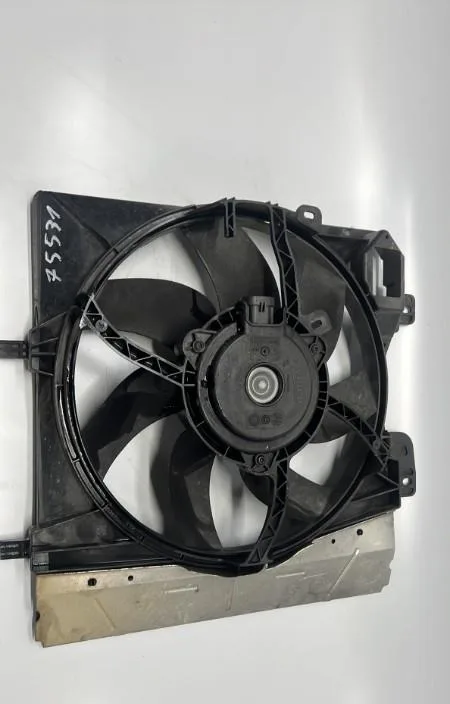 Ventilateur de refroidissement CITROEN C3 2 PHASE 1 occasion