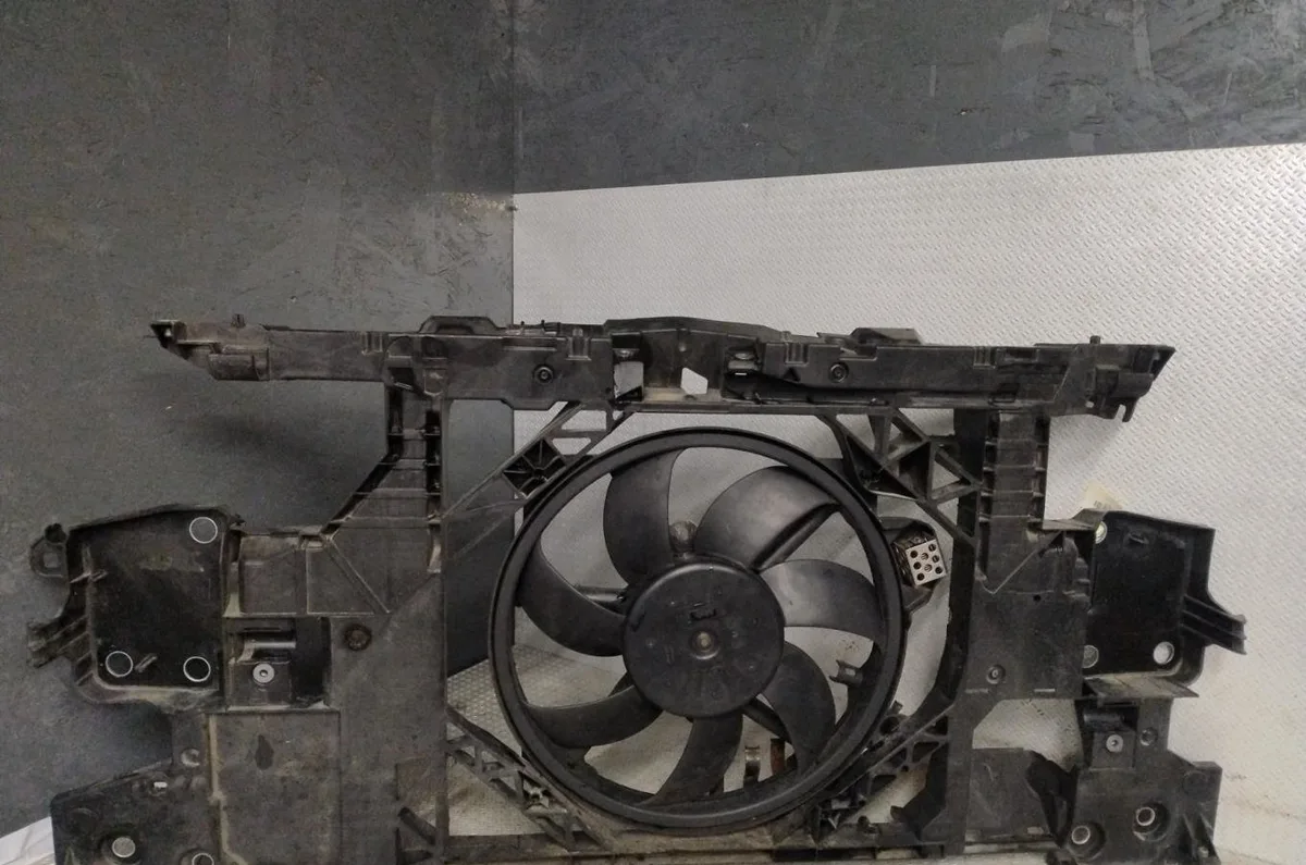Ventilateur de refroidissement Renault MEGANE III 3-5 portes (BZ0-1_, B3_) 1.9 dci (bz0n, bz0j) (2008) occasion