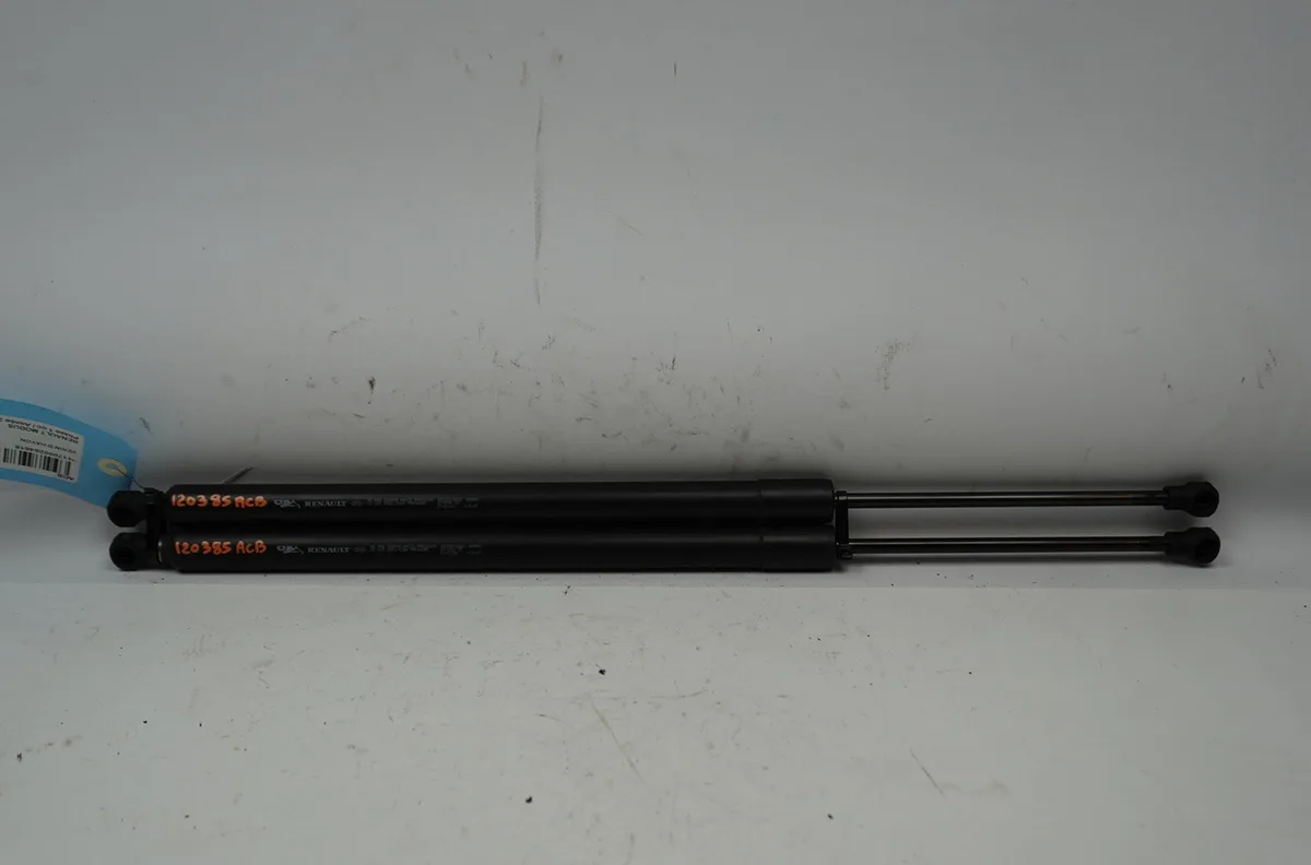 Verin droit hayon Renault MODUS - GRAND MODUS (F-JP0_) 1.5 dci (fp0f, jp0f) (2004) 5 portes occasion