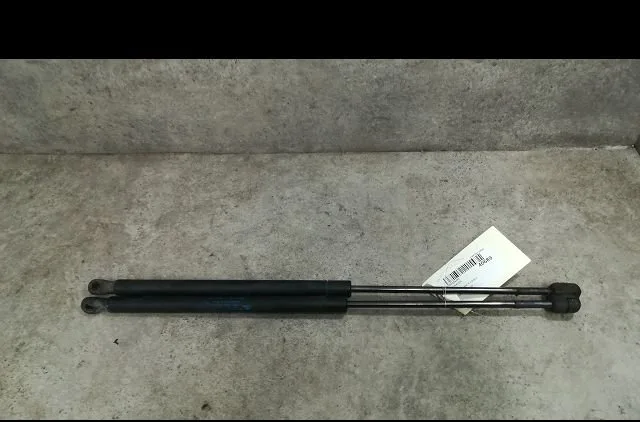 Verin droit hayon Renault SCÉNIC II (JM0-1_) 1.9 dci (jm14) (2005-2008) 5 portes occasion