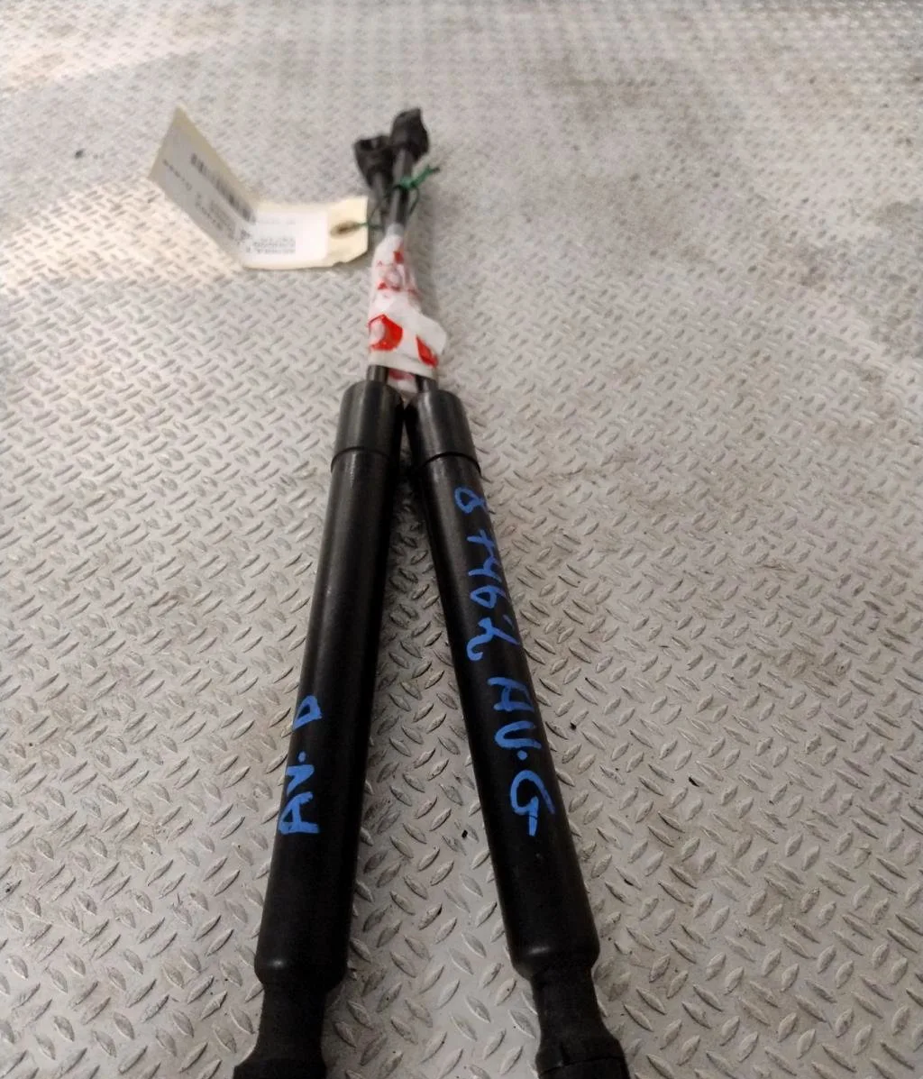 Verin g capot Renault KANGOO Express (FW0-1_) 1.5 dci 75 (fw07, fw10, fw04) (2010) 4 portes occasion