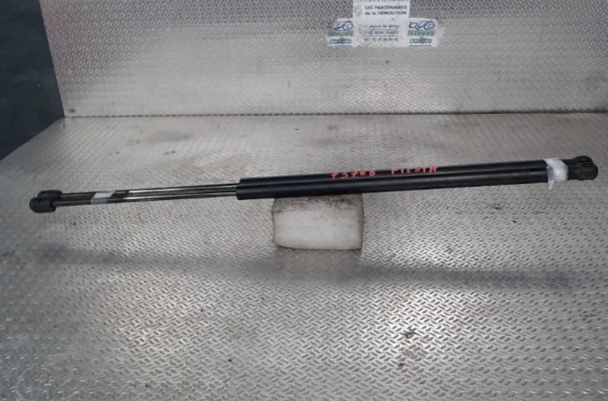 Verin gauche hayon Ford FIESTA V (JH_, JD_) 1.4 tdci (2001-2008) 5 portes occasion