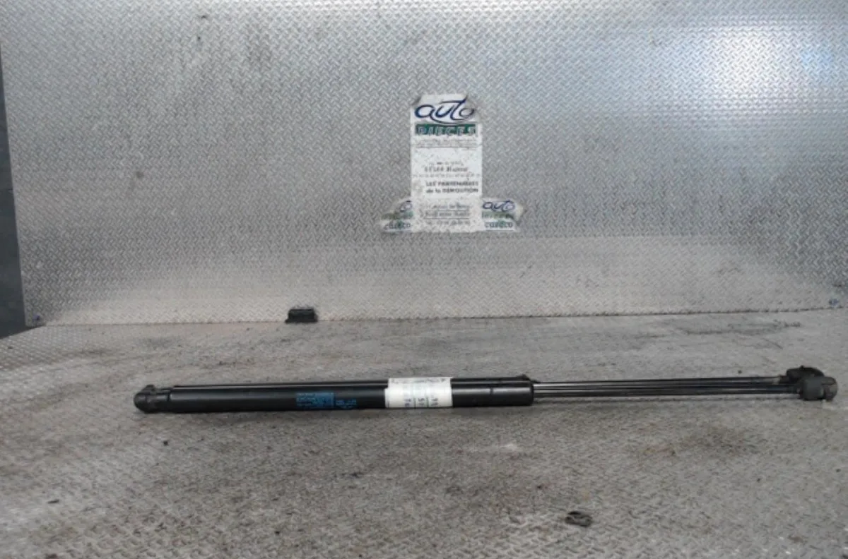 Verin gauche hayon Hyundai SANTA FÉ I (SM) 2.0 crdi 4x4 (2003-2006) occasion