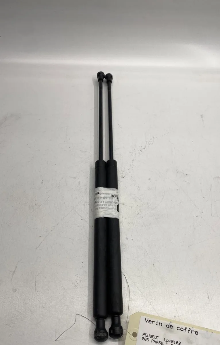 Verin gauche hayon Peugeot 206 3-5 portes (2A-C) 2.0 hdi 90 (1999-2009) 5 portes occasion