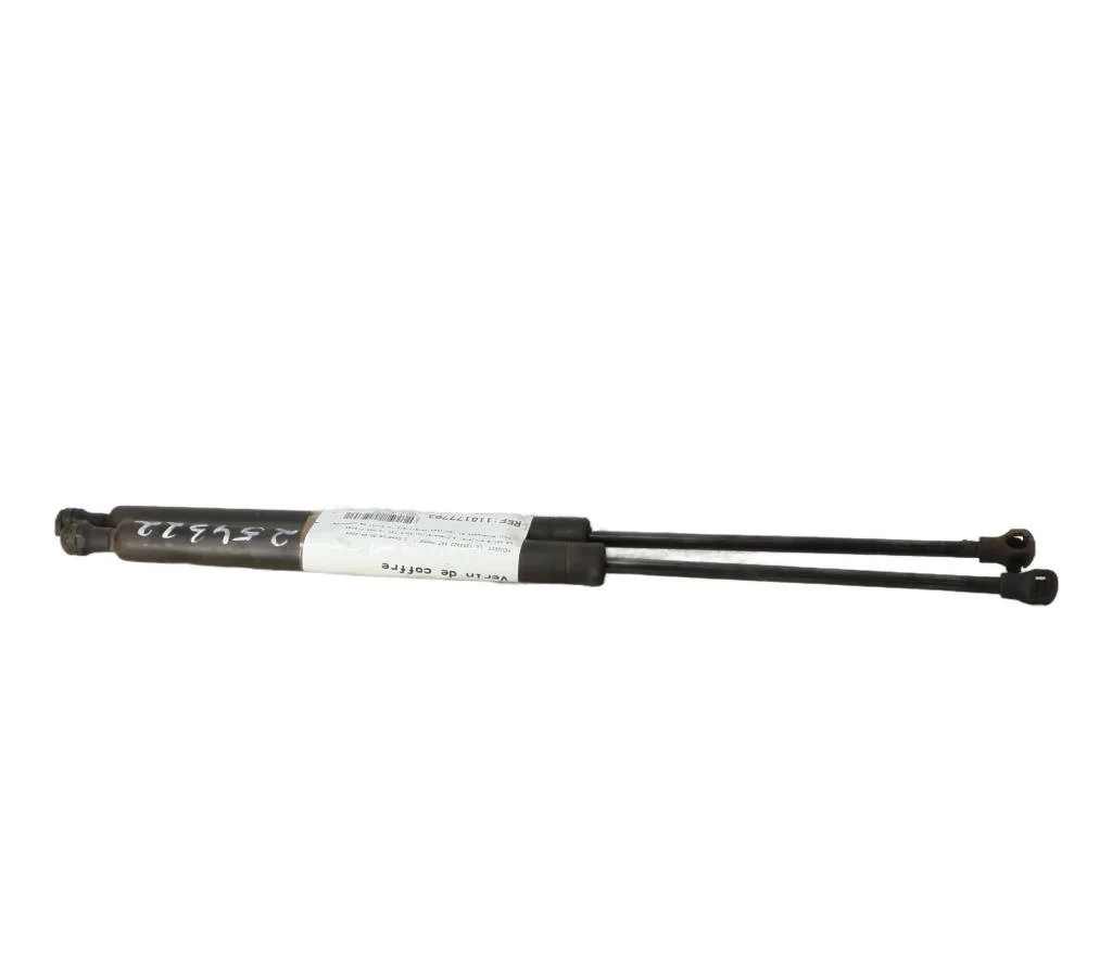 Verin gauche hayon Peugeot 307 (3A-C) 2.0 16v (2000-2005) occasion