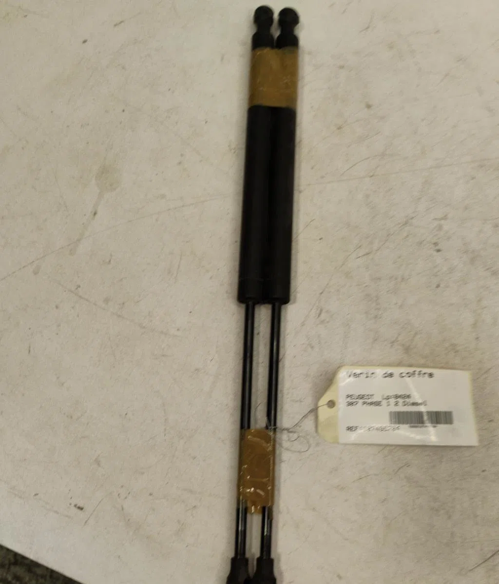 Verin gauche hayon Peugeot 307 (3A-C) 2.0 hdi 110 (2000-2007) occasion