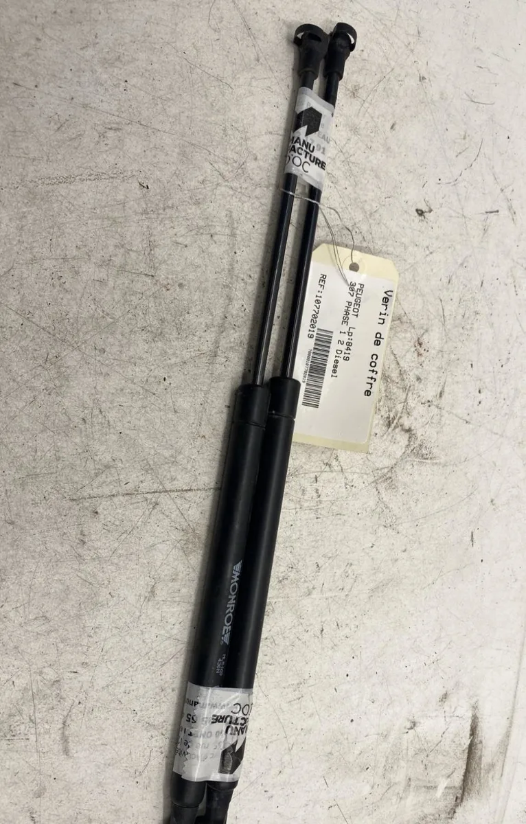 Verin gauche hayon Peugeot 307 (3A-C) 2.0 hdi 90 (2000-2007) 5 portes occasion
