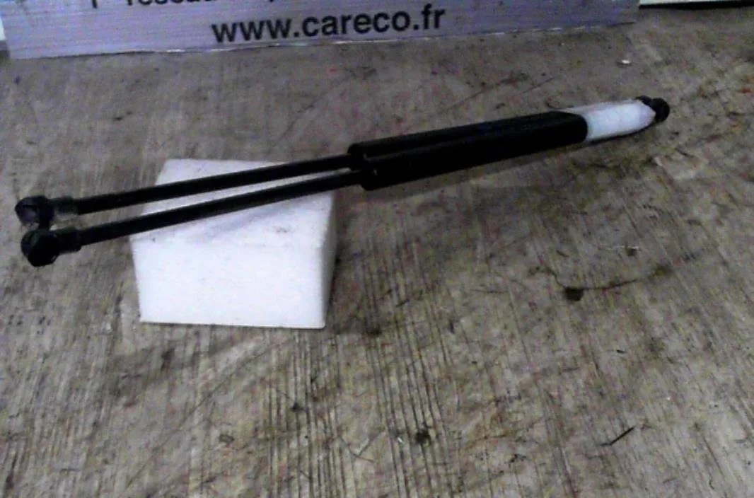 Verin glace hayon RENAULT SCENIC 1  SCENIC 1 PHASE 2 occasion
