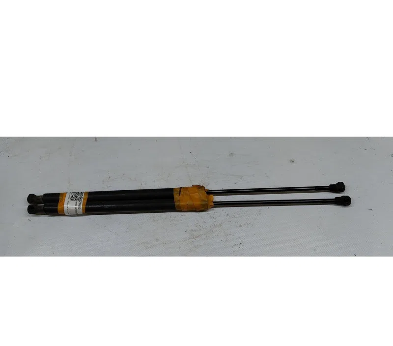 VERIN HAYON/COFFRE CITROEN C3II PICA 00008731S8